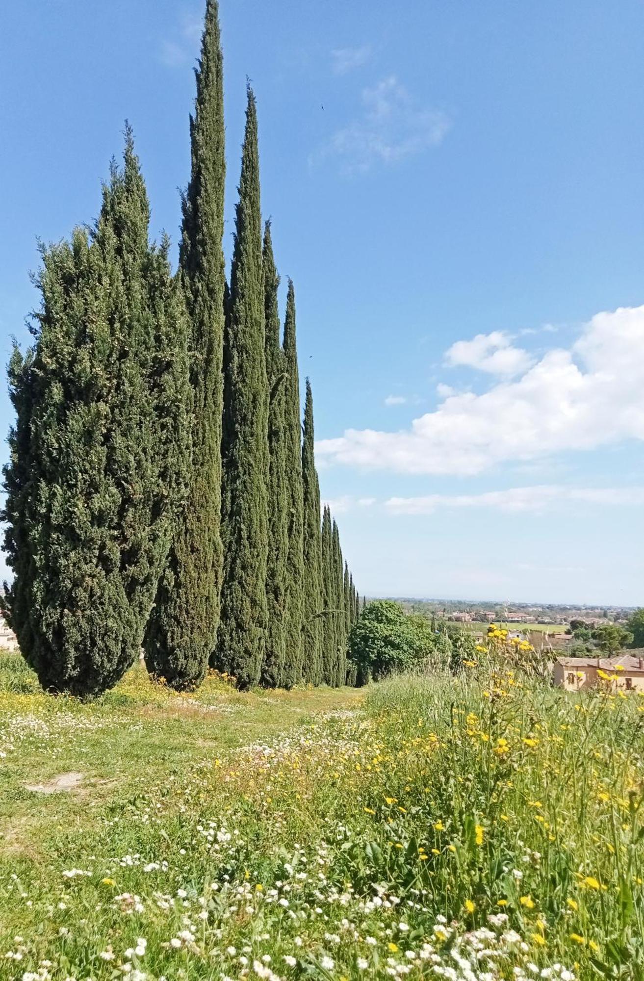 Casalice Leilighet SantʼArcangelo di Romagna Eksteriør bilde